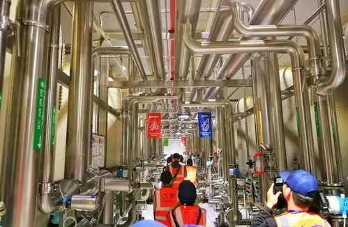 百威雪津 世界級智慧低碳工廠，黑科技護航啤酒誕生之旅與接待業務
